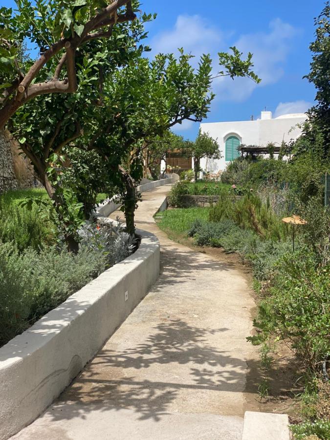 Capri Suite Marina Grande Exteriör bild